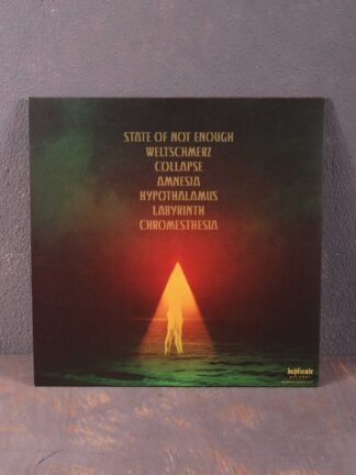 Neuronaut – State Of Not Enough LP (Black Vinyl)