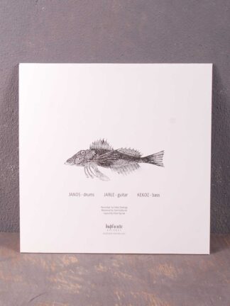 Organ: – Everything Is Pared Down. Minimal Expectations LP (Black Vinyl)