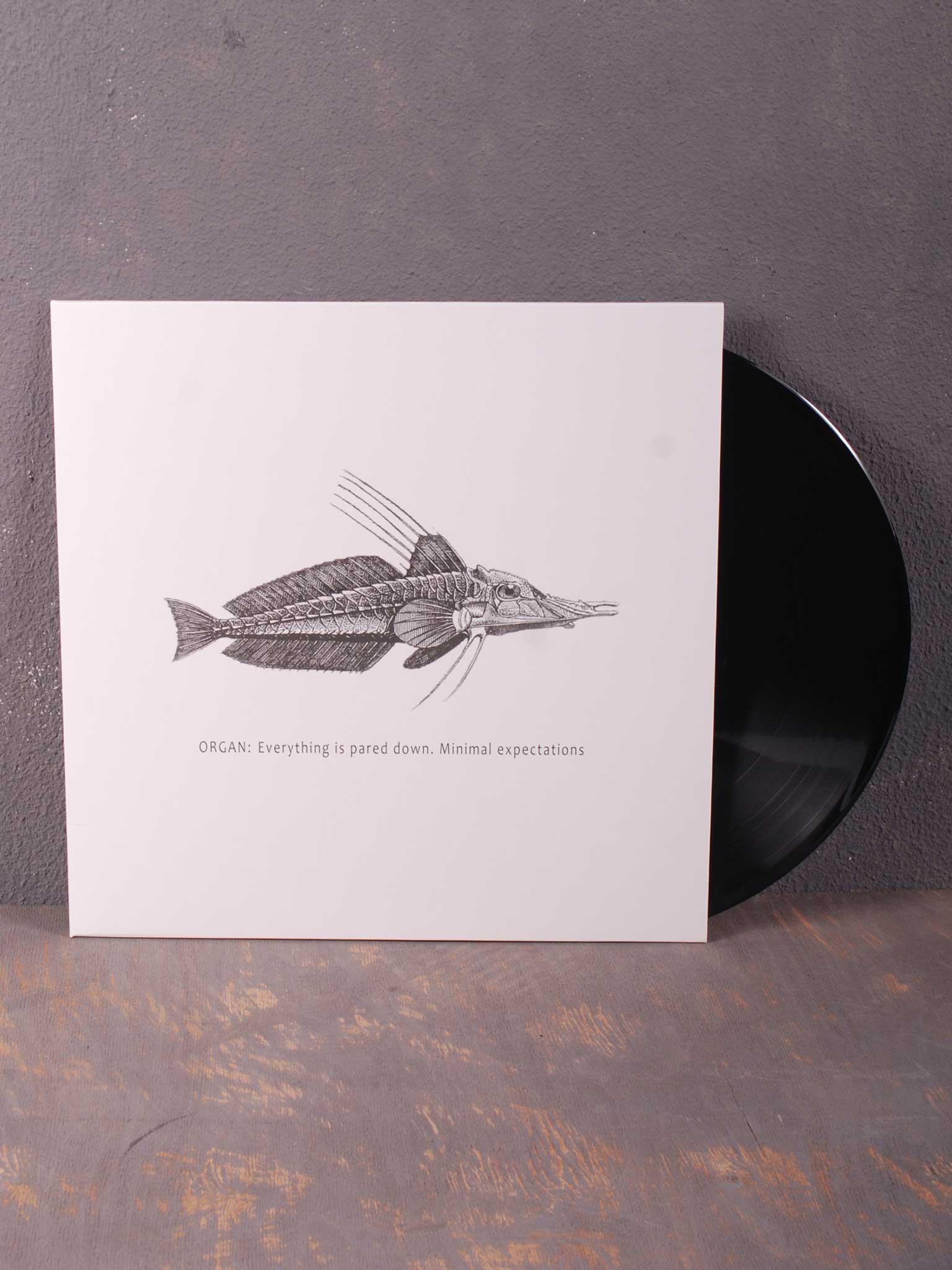 Organ: – Everything Is Pared Down. Minimal Expectations LP (Black Vinyl)